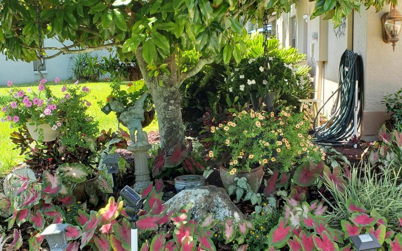 Lush Rubber Mulch Landscaping