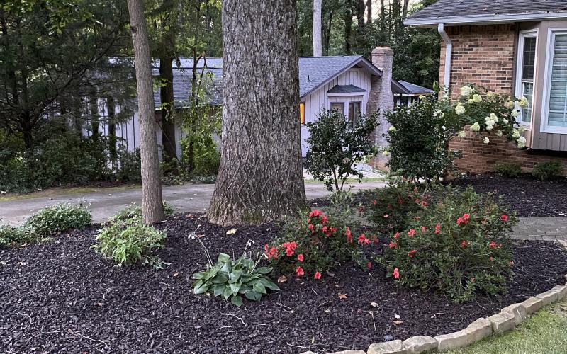 Black Rubber Mulch Landscaping Beds