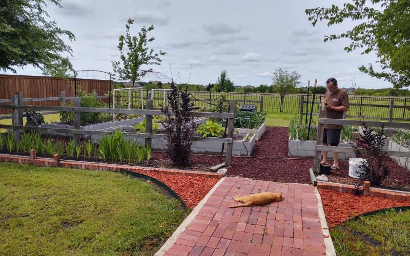 Raised Garden with Rubber Mulch Pathway