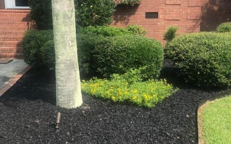 Black Rubber Mulch Landscaping Around Brick House