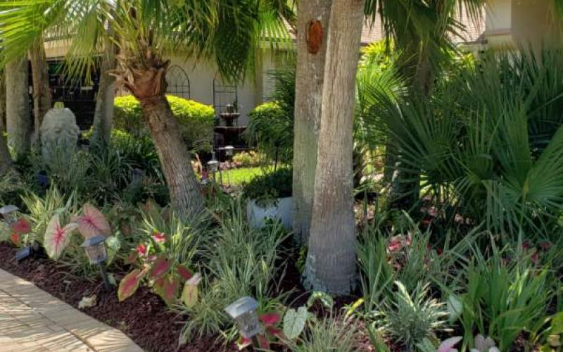 Lush Rubber Mulch Landscaping