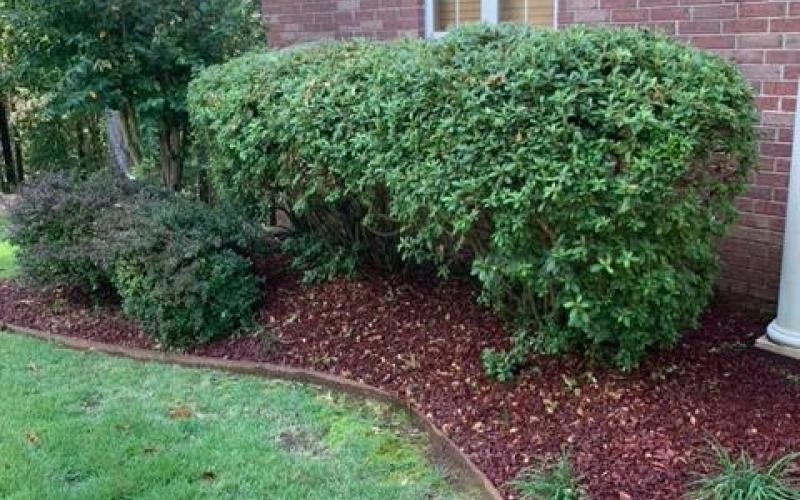 Red Rubber Mulch Landscaping