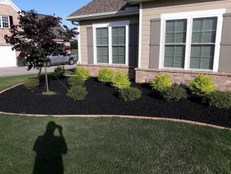 Black Rubber Mulch Landscaping Light Brick House