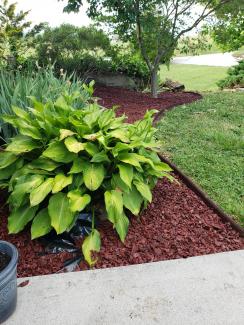 Red Rubber Mulch Landscaping Beds