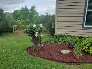 Red Rubber Mulch Landscaping