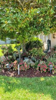 Lush Rubber Mulch Landscaping