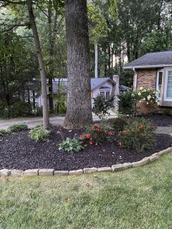 Black Rubber Mulch Landscaping Beds