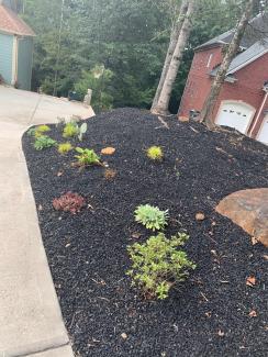 Black Rubber Mulch Landscaping
