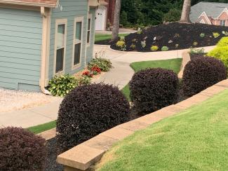 Rubber Mulch Landscaping Side Yard